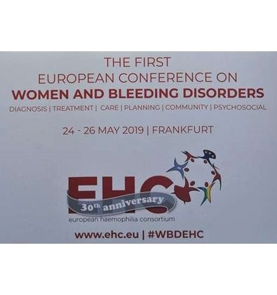 Sudjelovanje predstavnika DHH na konferenciji 