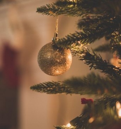 Sretan Božić i sve najbolje u 2022. godini želi Vam Društvo hemofiličara Hrvatske!